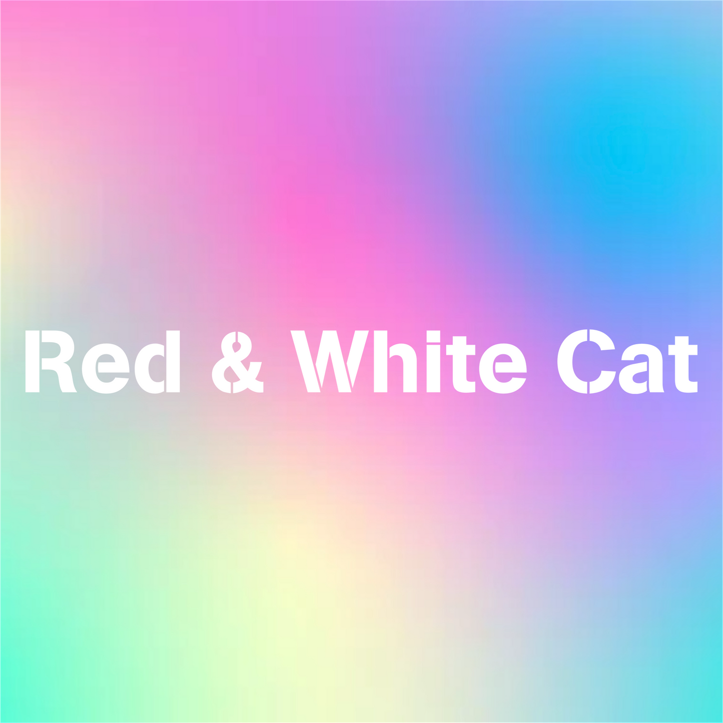 Red and White Cat